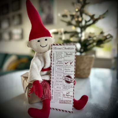 Den Store Rapport om Nissemagi og Barnetro: Nissens Checkliste (Forudbestilling, på lager igen slut uge 50)