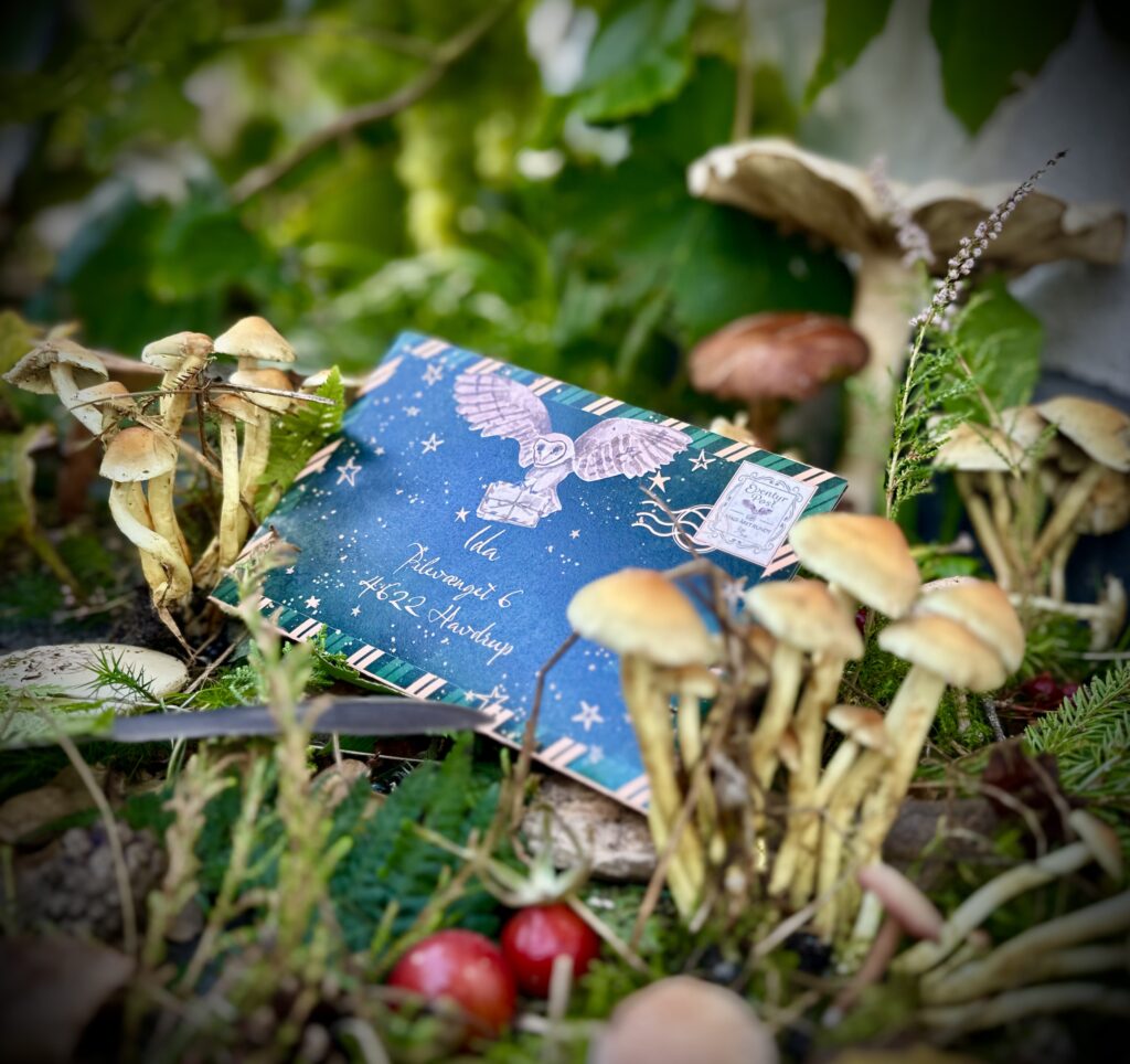 Magisk brev fra Eventyr Post placeret i skovbund blandt svampe og natur